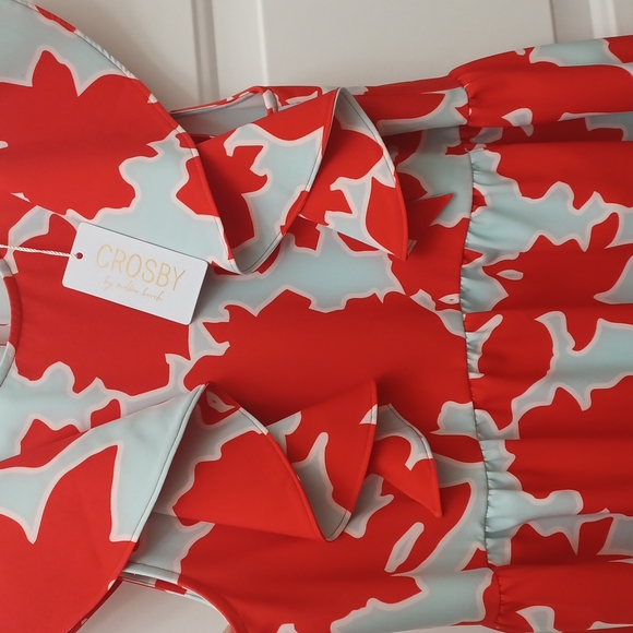 NWT Crosby by Mollie Burch Joe Joe high low summer dress Azalea Blooms $248 - Picture 4 of 8